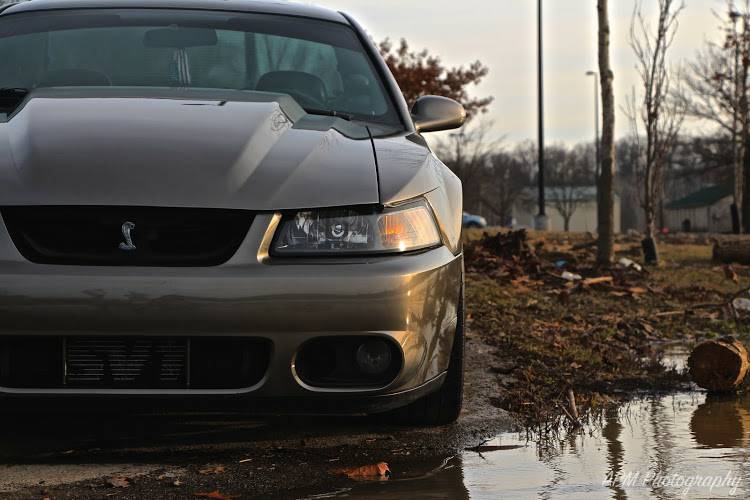 2001 Ford Mustang Cobra Terminator Swap Deadclutch