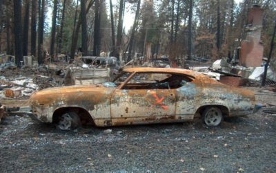 1969 Chevrolet Chevelle True SS 396 4 Speed 12 Bolt Lost In Camp Fire