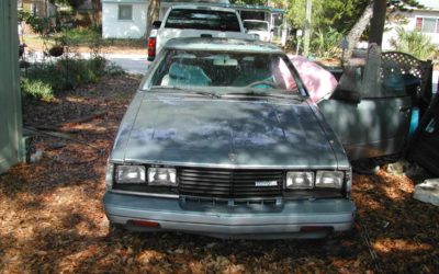 1981 Toyota Celica Sunchaser Targa Project